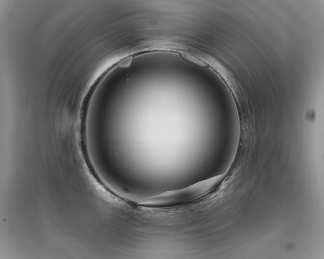X0000094961147200711291435