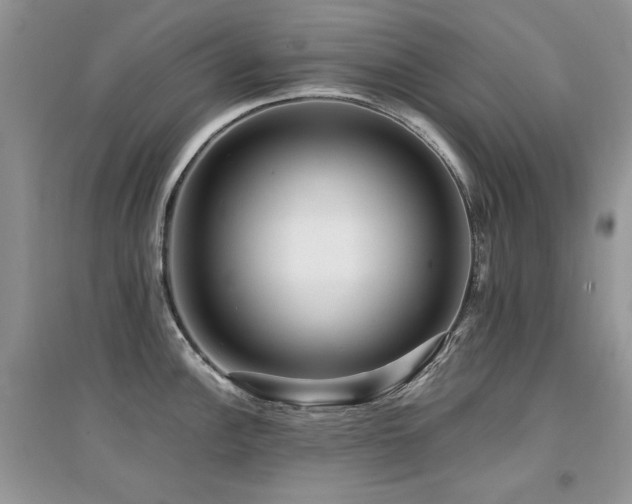 X0000094961148200711291435