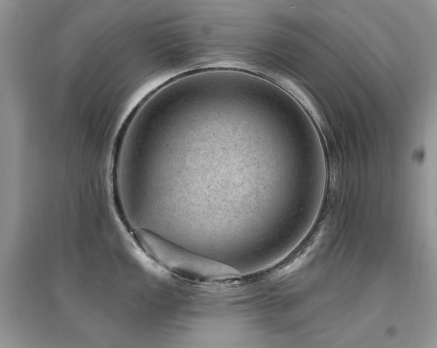 X0000094961149200711291435