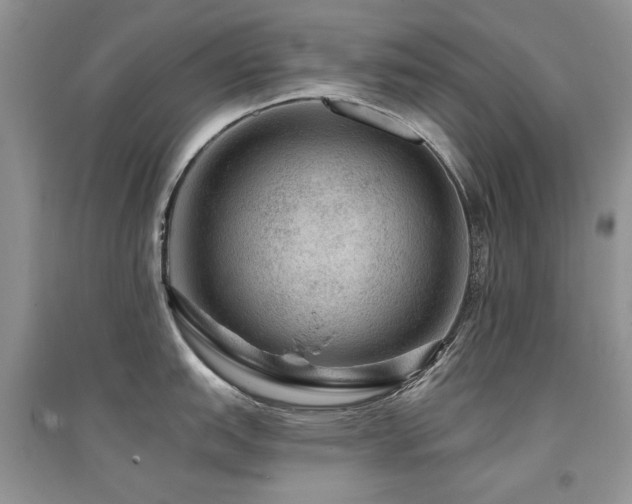 X0000094961151200711291435