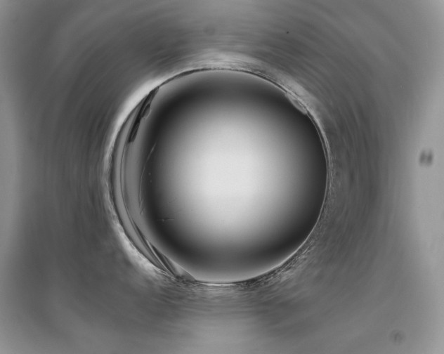 X0000094961152200711291435