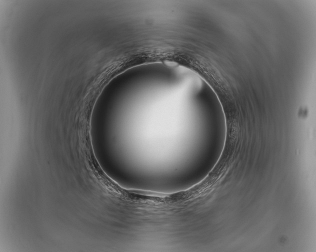 X0000094961153200711291434