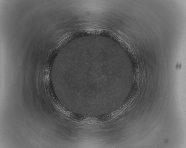 X0000094961154200711291434