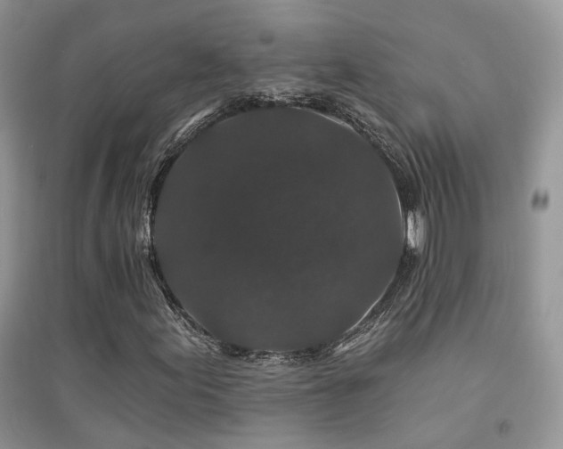 X0000094961155200711291434