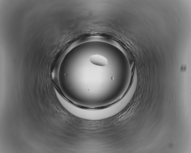 X0000094961156200711291434