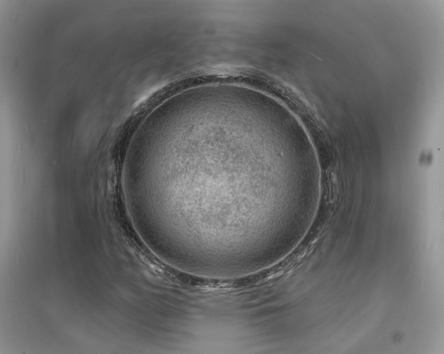 X0000094961158200711291434