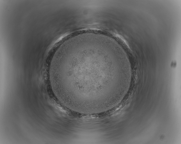 X0000094961159200711291434