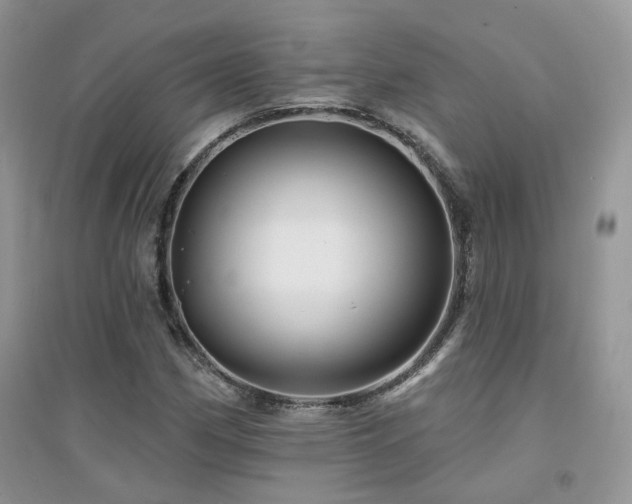 X0000094961162200711291434