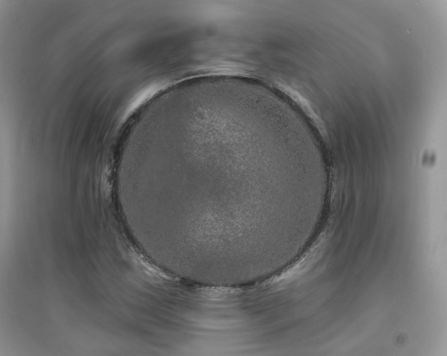 X0000094961163200711291434