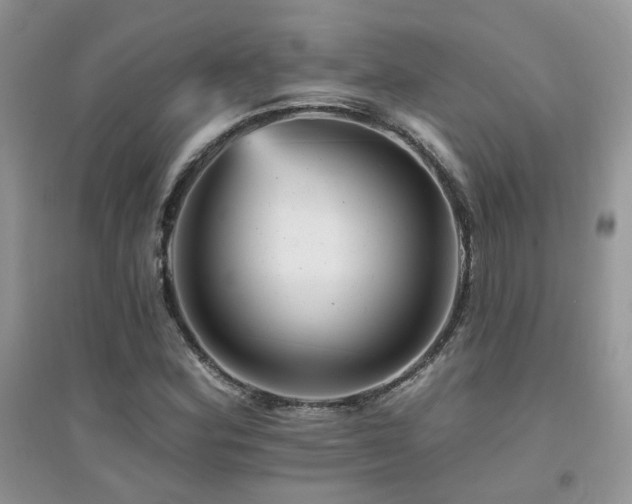 X0000094961164200711291434