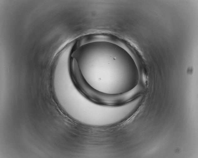 X0000094961165200711291434