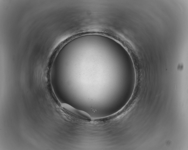 X0000094961166200711291434