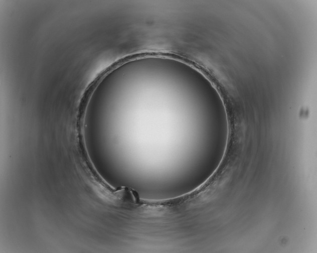X0000094961168200711291434