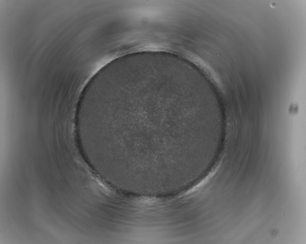 X0000094961170200711291434