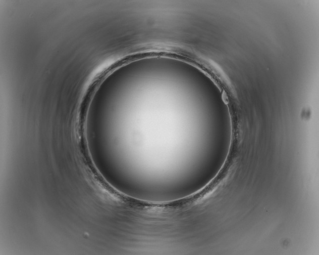 X0000094961172200711291434