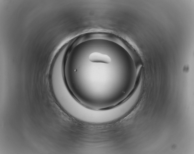 X0000094961173200711291434