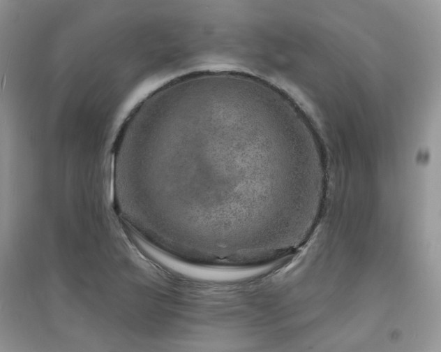 X0000094961175200711291434