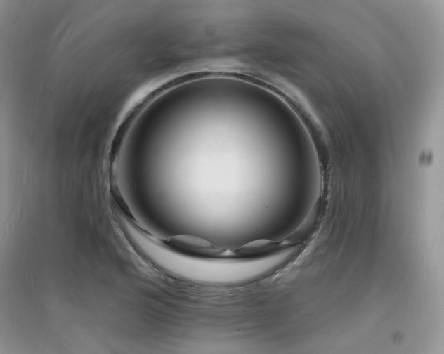 X0000094961176200711291434