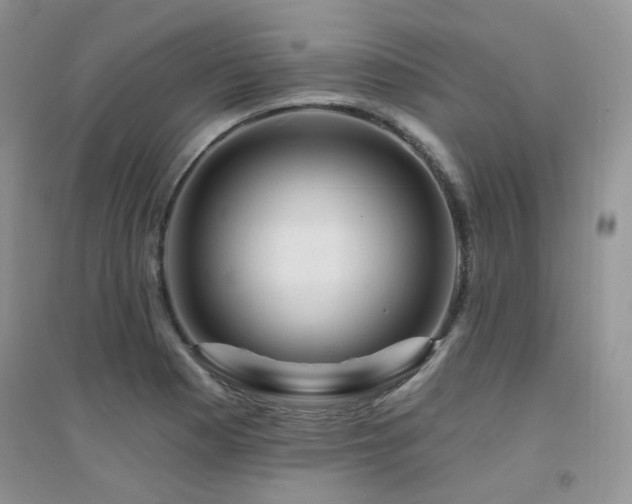 X0000094961177200711291434