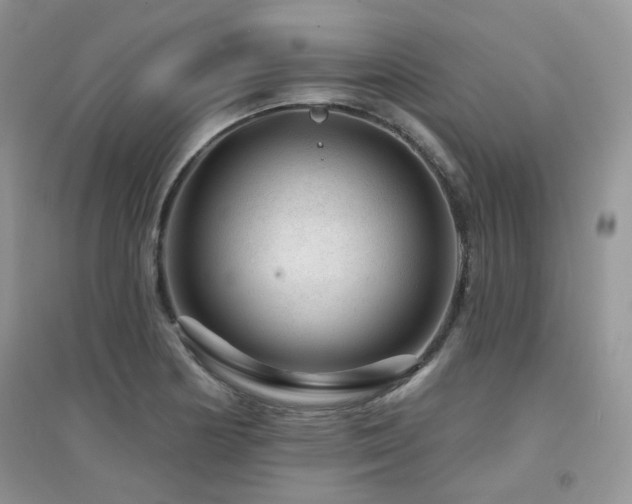 X0000094961178200711291434