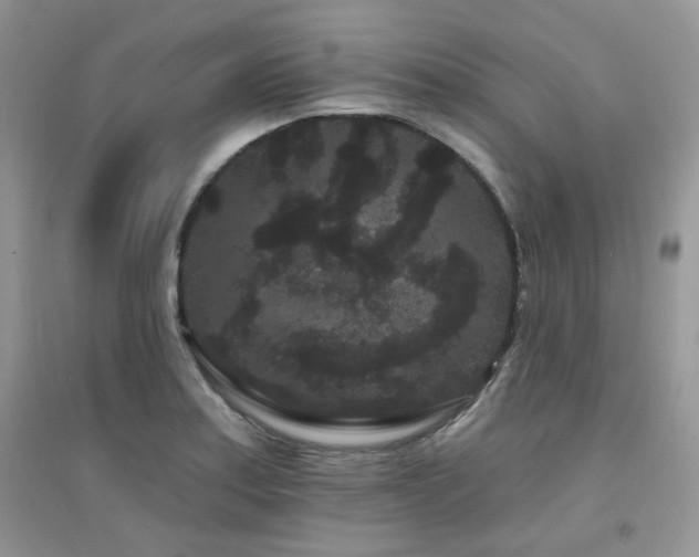 X0000094961179200711291434
