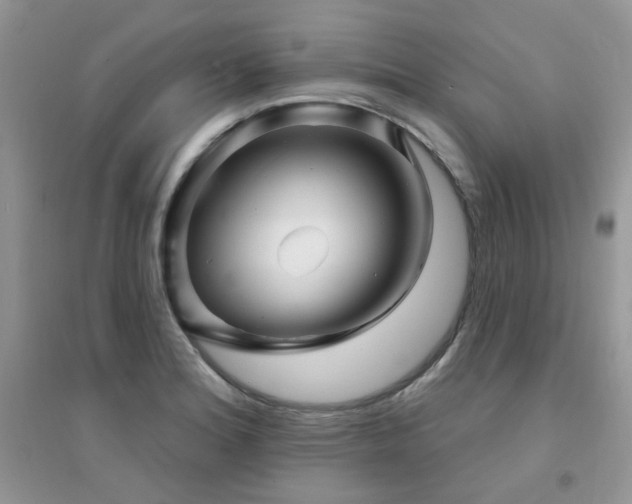 X0000094961180200711291434