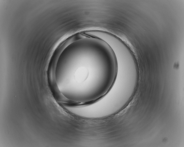 X0000094961181200711291434