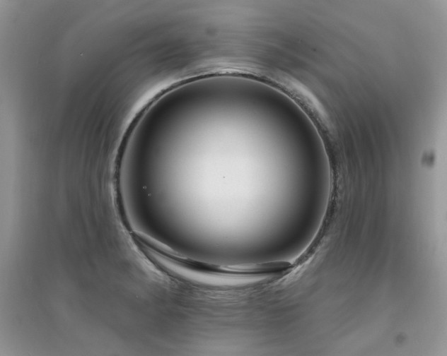 X0000094961182200711291434