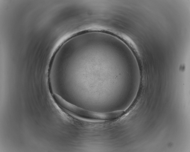 X0000094961183200711291434