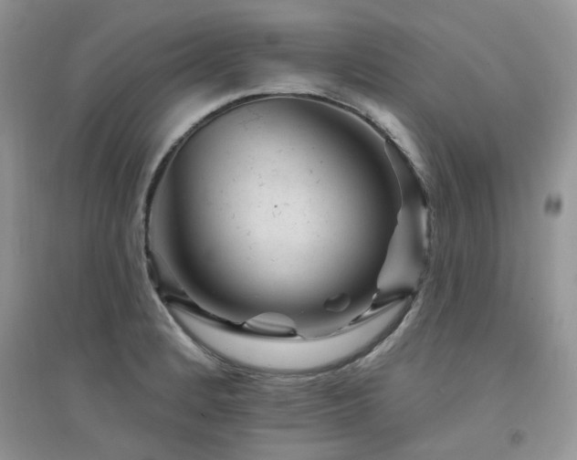 X0000094961184200711291434