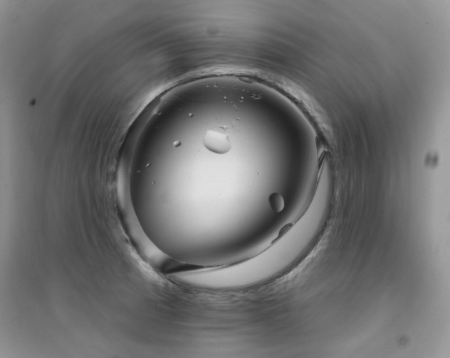 X0000094961185200711291434