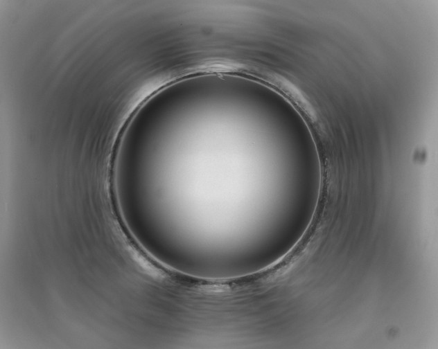 X0000094961186200711291434