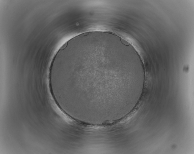 X0000094961187200711291434