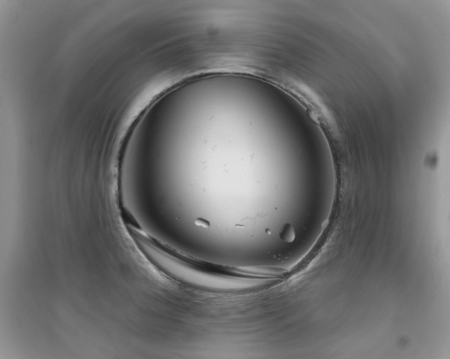 X0000094961188200711291434