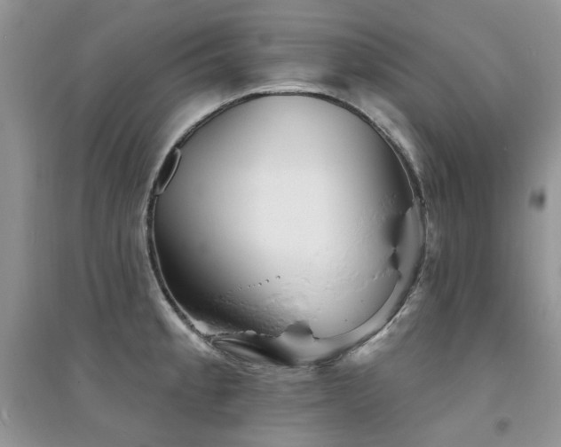 X0000094961189200711291434