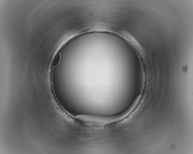X0000094961190200711291434
