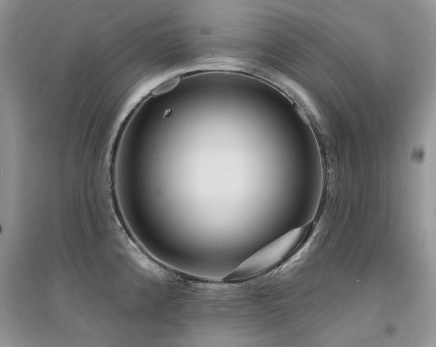 X0000094961192200711291433