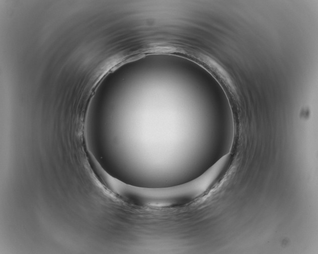 X0000094961193200711291433