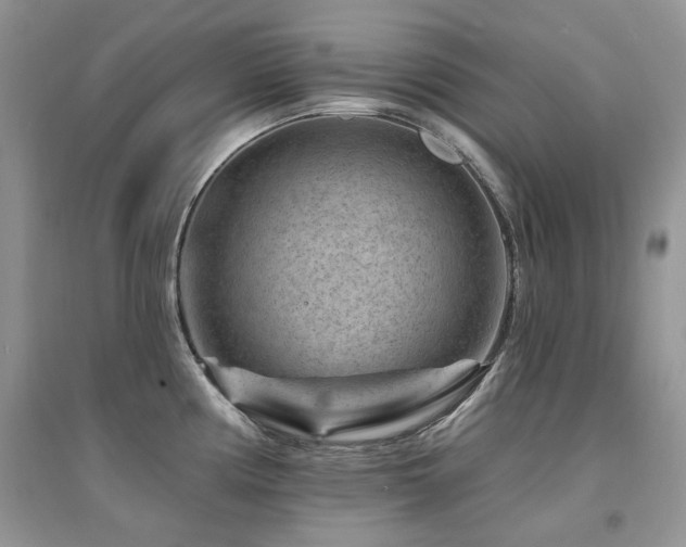 X0000094961194200711291433