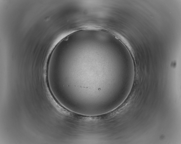 X0000094961195200711291433