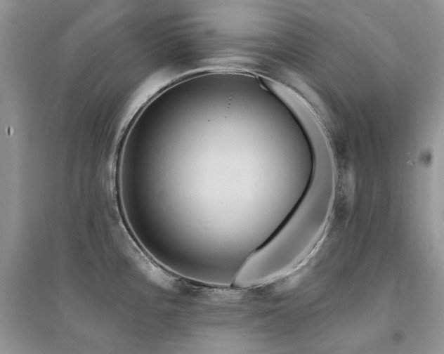 X0000094961196200711291433