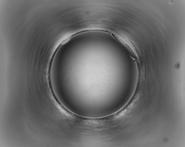 X0000094961197200711291433