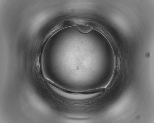 X0000094961198200711291433