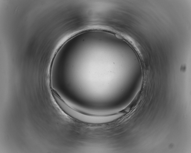 X0000094961199200711291433
