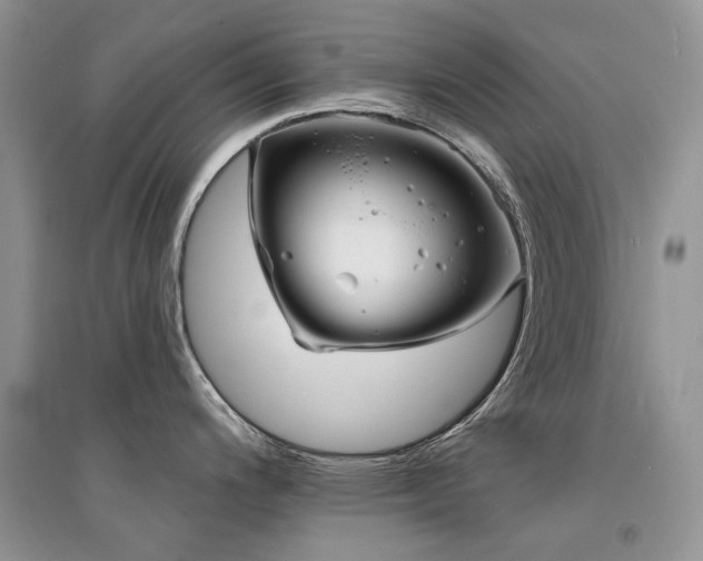 X0000094961200200711291433