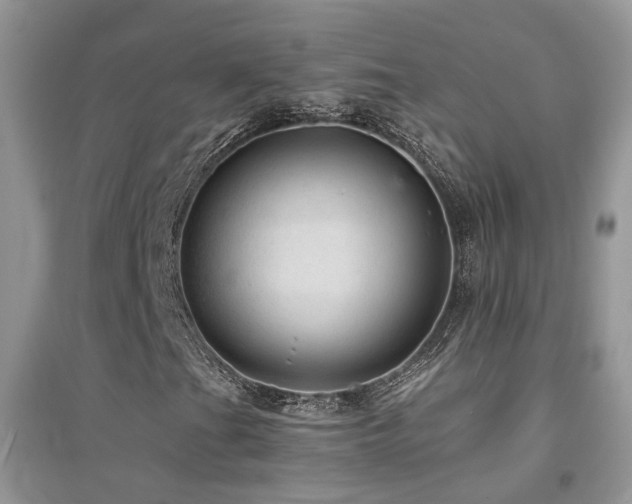 X0000094961201200711291433