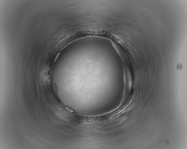 X0000094961202200711291433
