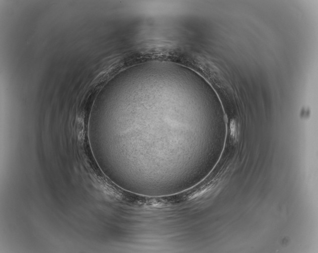 X0000094961203200711291433