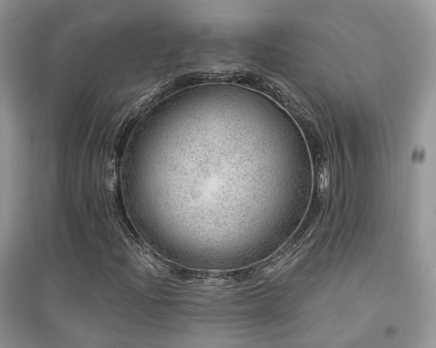 X0000094961204200711291433