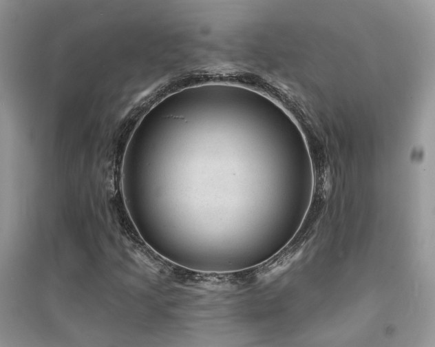 X0000094961205200711291433
